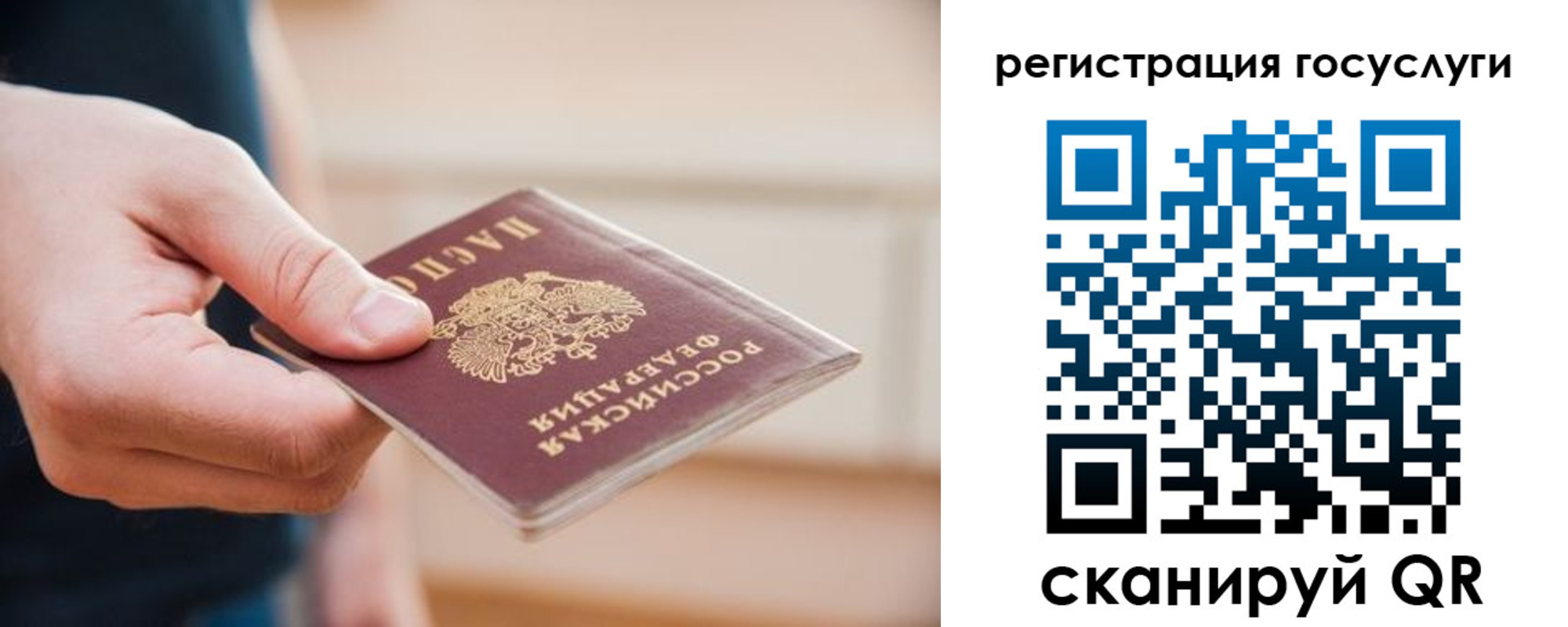 прописка паспорт в Новомосковске